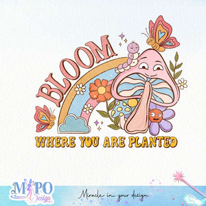 Bloom Where you are Planted sublimation design, png for sublimation, retro sublimation, inspiring png