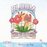 Bloom where you are planted sublimation design, png for sublimation, retro png, Positive quote PNG