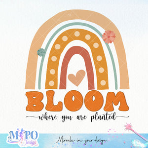 Bloom where you are planted sublimation design, png for sublimation, Rainbow PNG, Pastel rainbow PNG, Boho rainbow PNG