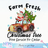 Farm Fresh Christmas tree Pine Spruce Fir Cedar sublimation design, png for sublimation, Christmas PNG, Christmas vibes PNG