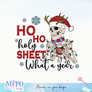 Ho ho holy shit what a year sublimation design, png for sublimation, Christmas PNG, Christmas Skeleton PNG