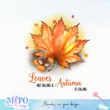 Leaves are falling & Autumn is calling sublimation design, png for sublimation, Autumn PNG, Positive vibe PNG, Autumn vibe PNG