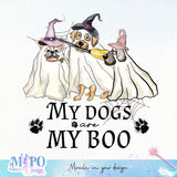 My dogs are my boo sublimation design, png for sublimation, Halloween Dog vibes png, halloween animals png