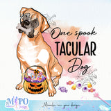 One spook tacular dog sublimation design, png for sublimation, Halloween Dog vibes png, halloween animals png