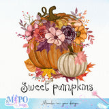 Sweet pumpkins Sublimation design, png for sublimation, Autumn PNG, Positive vibe PNG, Autumn vibe PNG