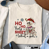 Ho ho holy shit what a year sublimation design, png for sublimation, Christmas PNG, Christmas Skeleton PNG